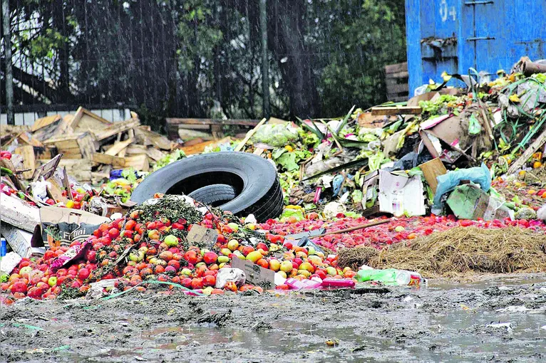 PL de Jader que combate desperdício de alimento é aprovado