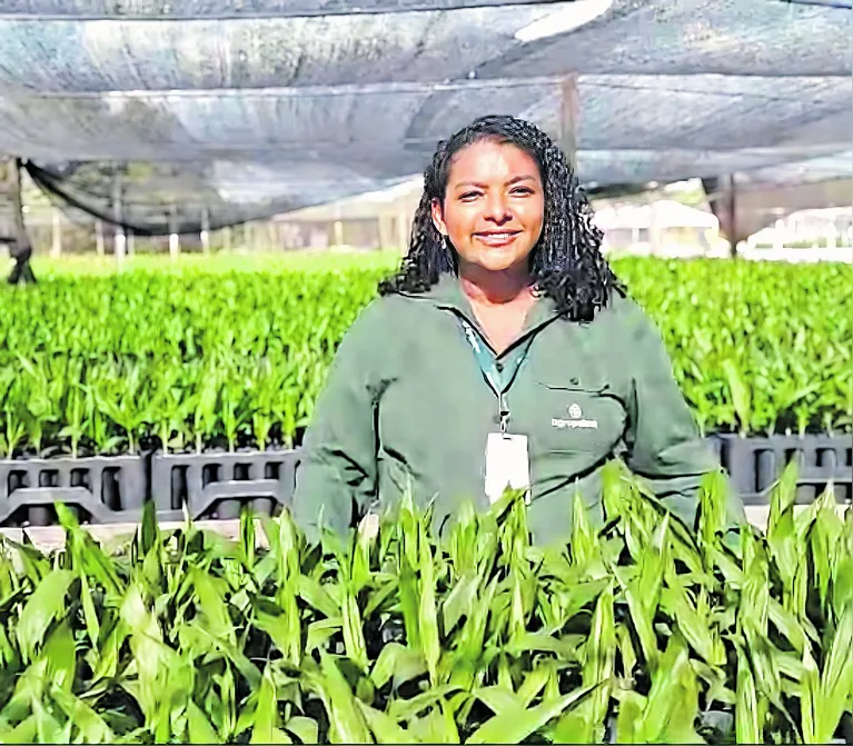 Dirlene Vieira da Silva: “O que mais me inspira em trabalhar na empresa são as oportunidades”.