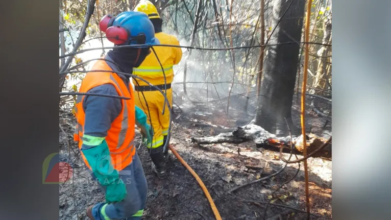 Equipes de brigadistas estão tentando combater o incêndio