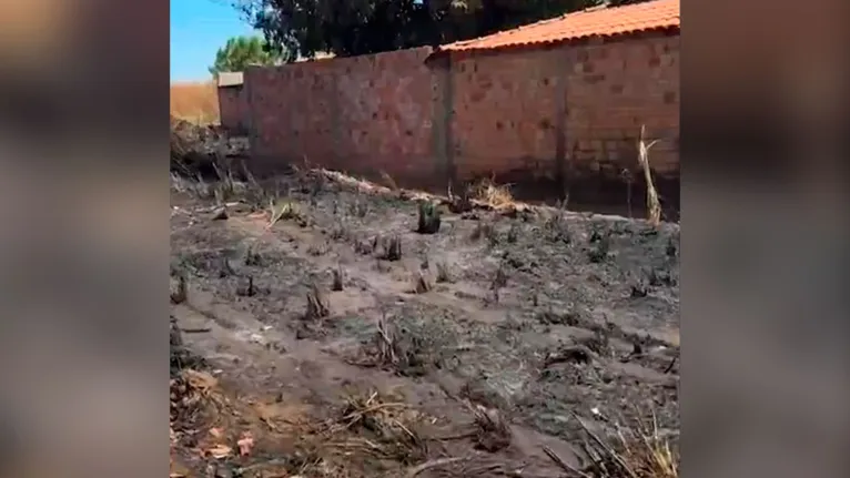 O terreno onde foi ateado fogo