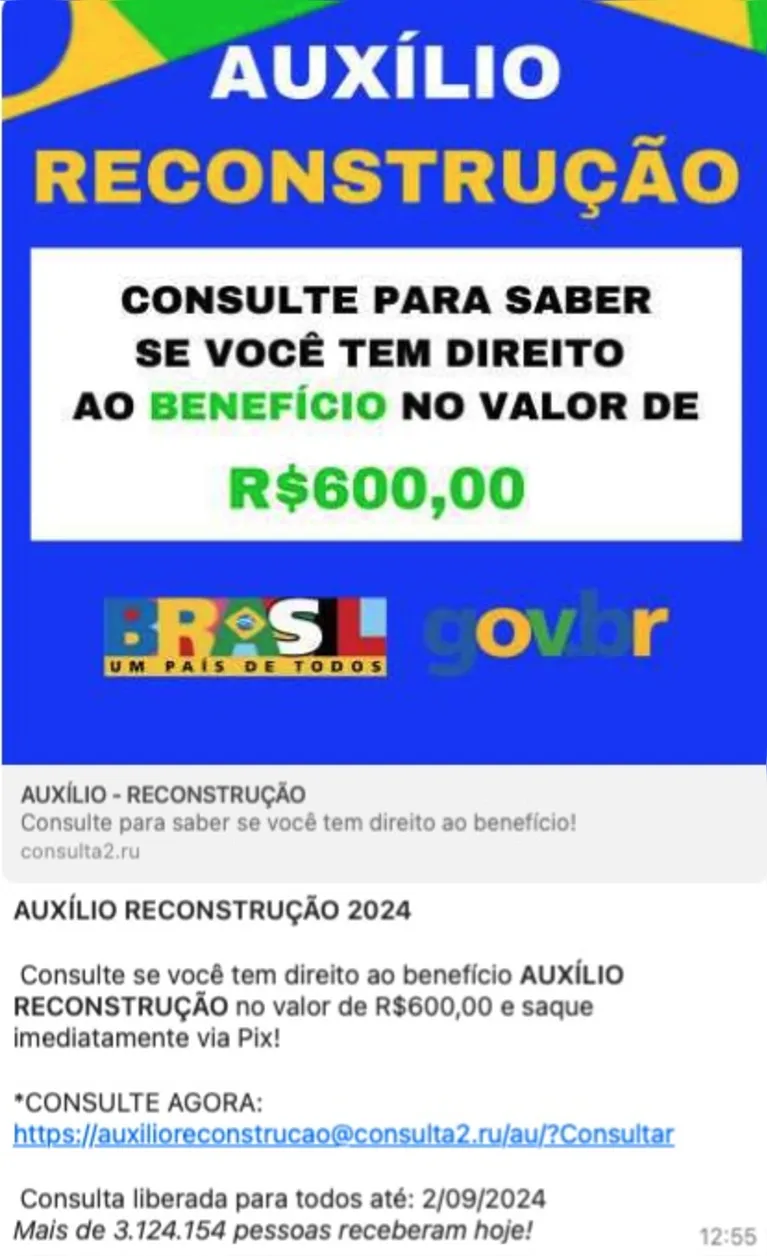 Outro modelo da fraude, mas que tem o mesmo link de acesso sem o domínio .GOV.BR no endereço eletrônico. O domínio oficial só está na imagem e pode ser enganoso