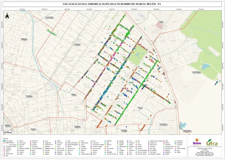 Mapas expõem "vazio" de árvores na "Cidade das Mangueiras"