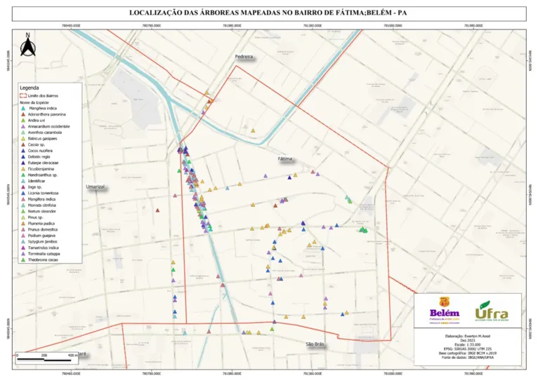 Mapas expõem "vazio" de árvores na "Cidade das Mangueiras"