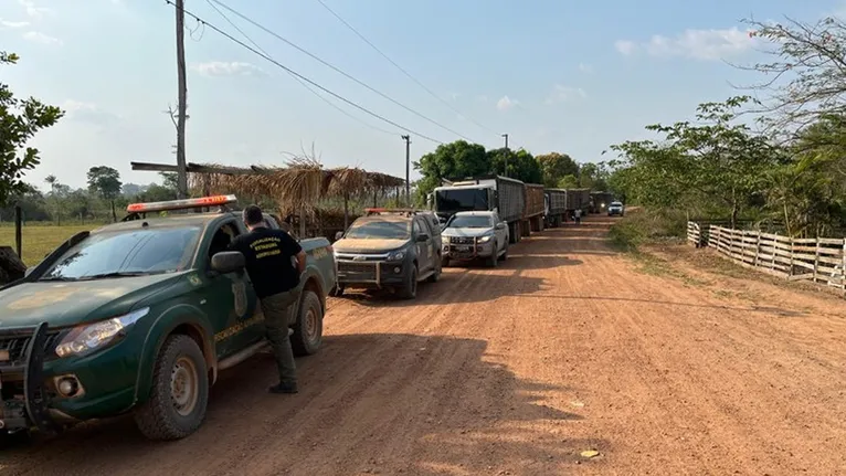 As ações de desintrusão e proteção territorial da Terra Indígena Apyterewa fizeram com que o desmatamento ilegal caísse 97%