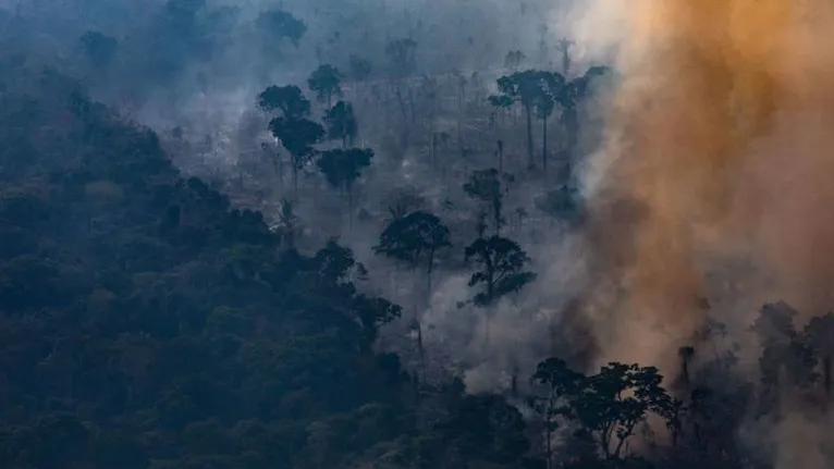 Durante a estação, é previsto que o sul do Amazonas, uma das áreas que é foco de incêndios, ainda sofra com a seca, incidência de queimadas e incêndios florestais