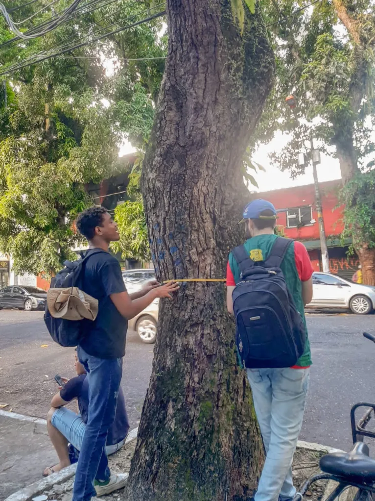 "Belém mais verde": projeto mapeia árvores em Belém e revela desequilíbrio nessa distribuição vegetal na cidade.