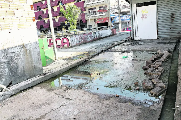 Belém, Pará, Brasil. Cidade. O problema é de anos, de gestões anteriores e que até o momento, segue sem solução e promessas que se renovam. E como é ano eleitoral, daqui a pouco aparece alguém “prometendo” uma solução para o Espaço da Palmeira. 30/08/2024. Foto: Irene Almeida/Diário do Pará.