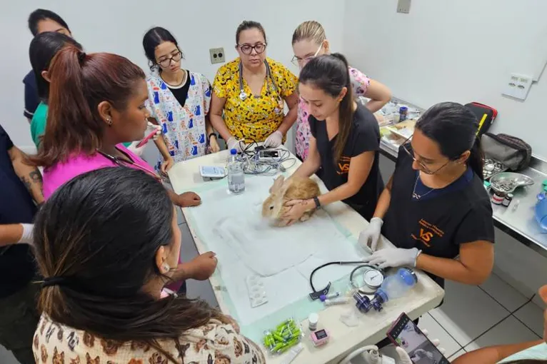 Os alunos puderam partir para a prática do curso.