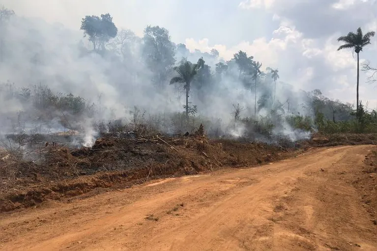 O incêndio no assentamento Casulo II destruiu uma área de 2.753 hectares, causando prejuízos irreparáveis ao meio ambiente e às famílias do entorno.