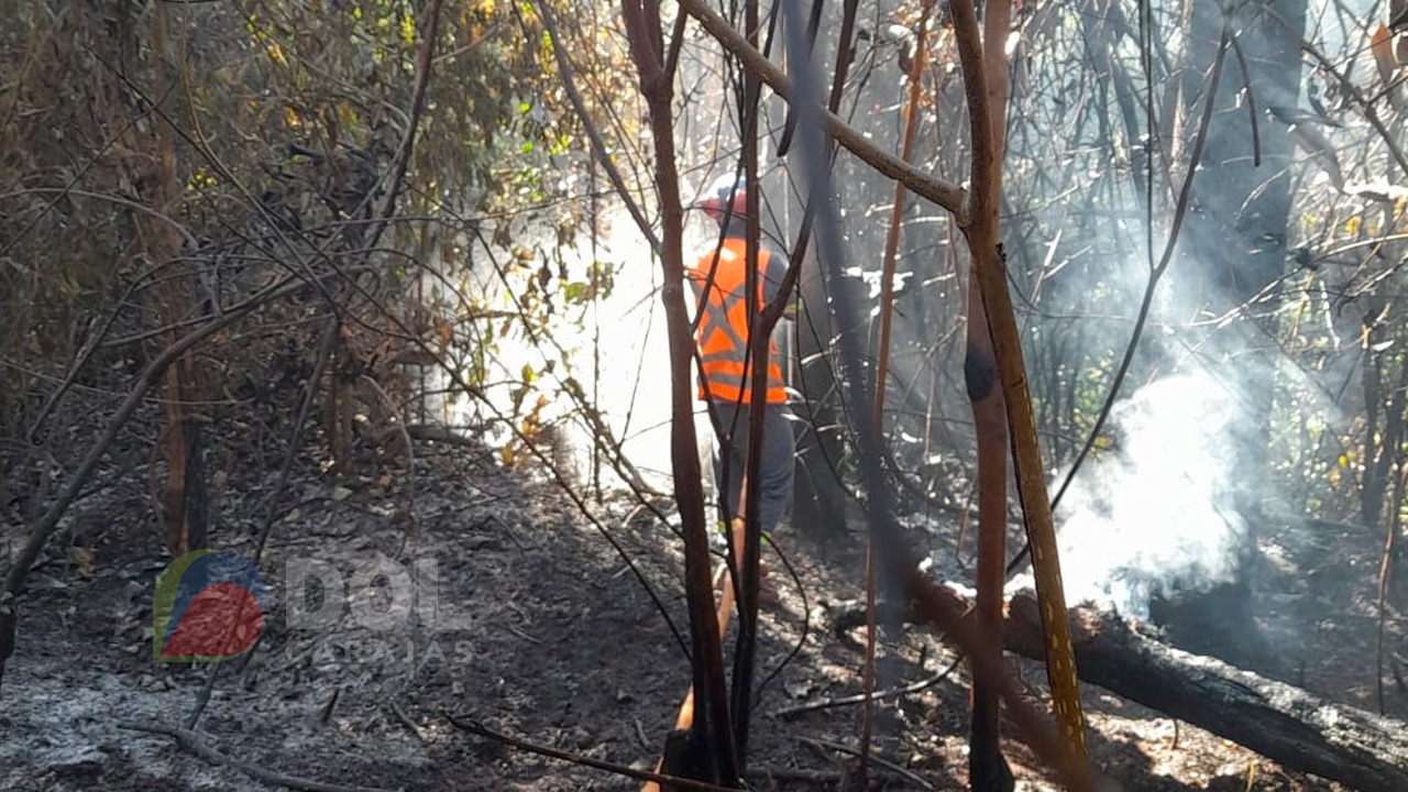 Brigadistas tentam apagar o fogo