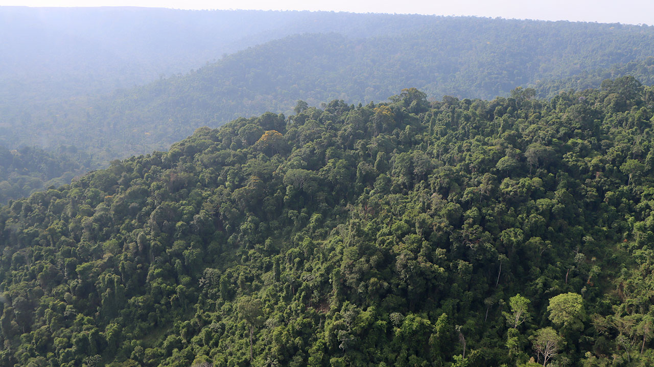 Vista aérea da Floresta Nacional de Carajás, um dos maiores biomas preservados da Amazônia, com paisagens exuberantes e rica biodiversidade, localizada na região de Parauapebas, no Pará.