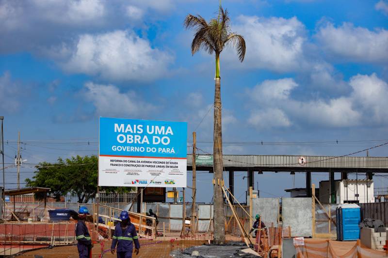 Árvores são transplantadas para áreas de obras em Belém