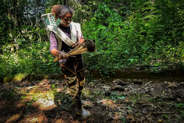 Pertencimento e identidade: historiadora defende o nome "castanha-do-pará" 