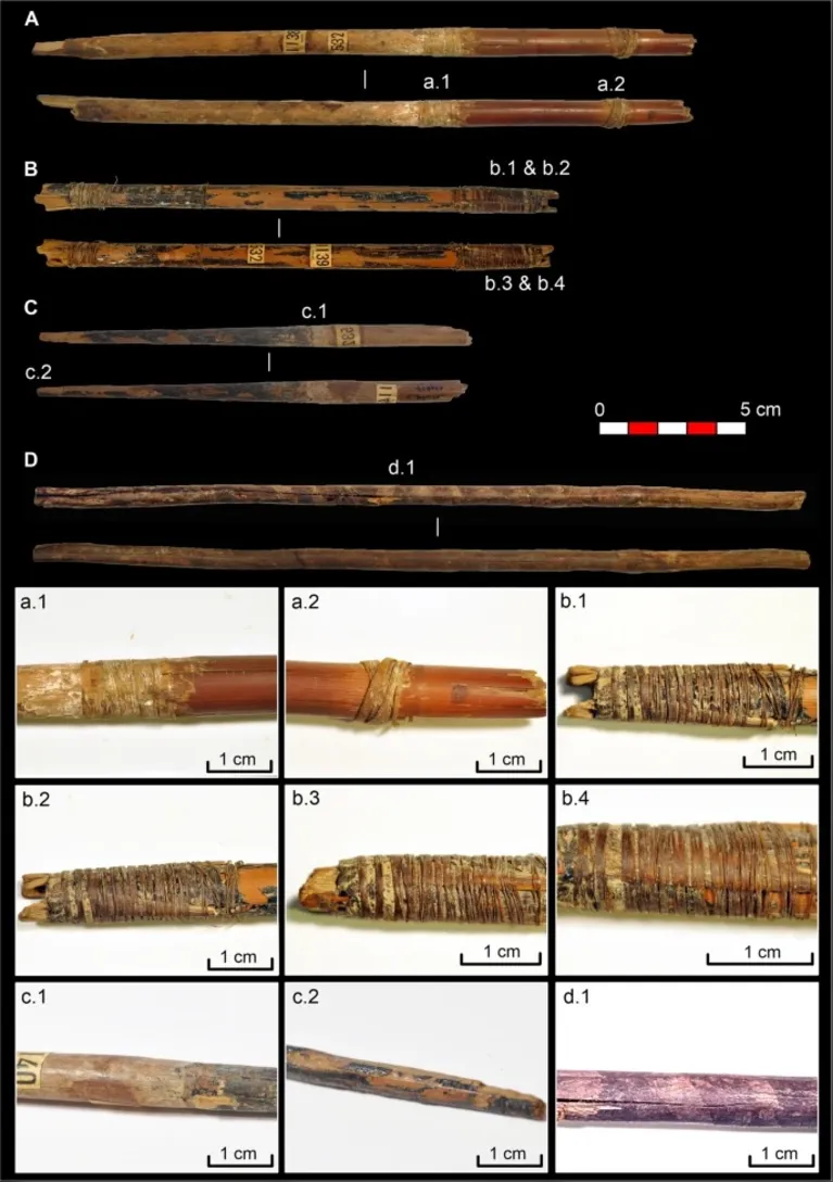 Pontas de flechas e hastes à base de plantas da Cueva de los Murciélagos. ( A ) CM-1138/532 (Ua-78245), junco e haste de flecha de madeira, ( a.1. ) Detalhe de fibras adesivas e amarradas brancas na junção entre o junco e a madeira, ( a.2. ) Detalhe de fibras amarradas na extremidade da haste da palheta, ( B ) CM-1139/532 (Beta-692876), haste da flecha de palheta, ( b.1–4. ) Entalhe da flecha, com penas, fibras amarradas e adesivo preto, ( C ) CM-1140 (Beta-692878), haste ou ponta de flecha, ( c.1. ) Detalhe do adesivo, ( c.2. ) Ponta da flecha com adesivo, ( D ) CM-1141 (Ua-78246 ), haste ou ponta de flecha, ( d.1. ) Marcas espirais.