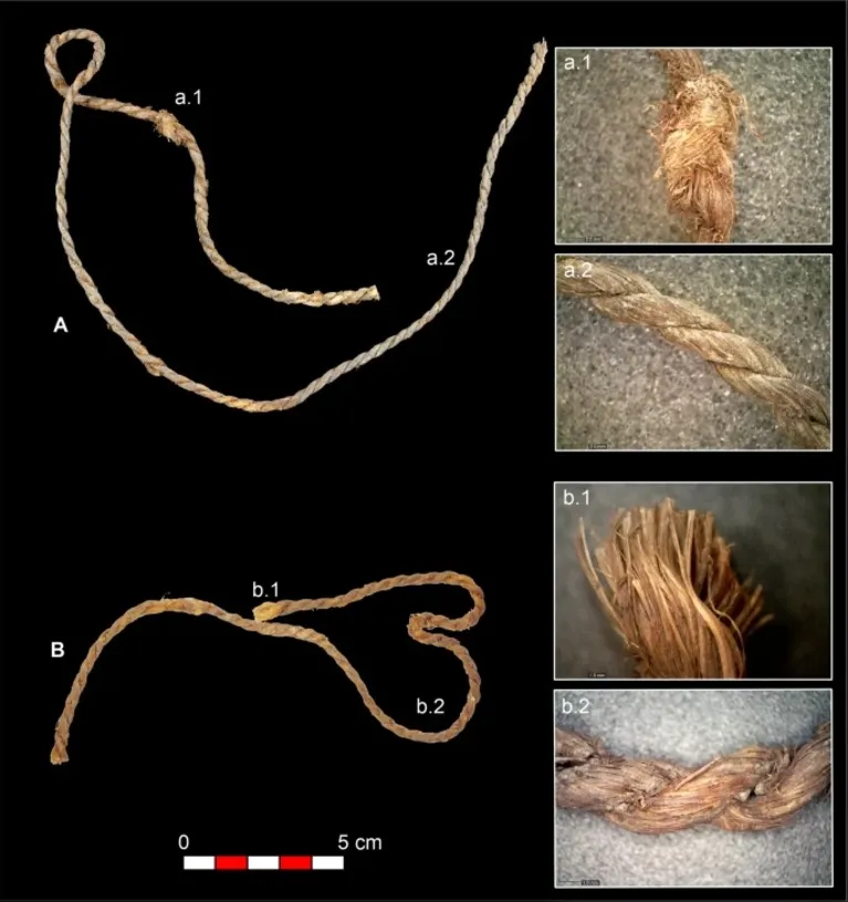 Fragmentos de cordame da Cueva de los Murciélagos identificados como possíveis cordas de arco. ( A ) CM-P287 (Beta-684048), ( a.1. ) Nó ou reparo, ( a.2. ) Detalhe de fibras torcidas; ( B ) CM-591b (Beta-692877), ( b.1. ) Extremidade de corda quebrada/franjada, ( b.2. ) Detalhe de fibras torcidas com material orgânico entre as ranhuras.