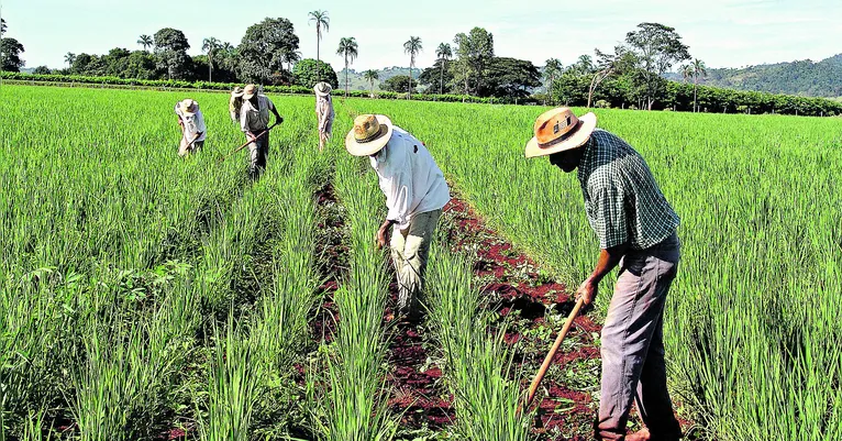 Iniciativas envolvem a doação financeira ou criação de linhas de crédito para a recuperação de solos e pastagens