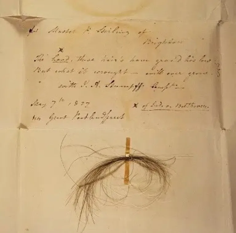 Uma mecha autêntica de cabelo de Beethoven, afixada em uma carta datada de 1827 e fotografada em 2018 pelo membro da American Beethoven Society, Kevin Brown.