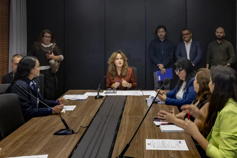 Reunião da Comissão de Defesa da Primeira Infância, Criança e Adolescente da Assembleia Legislativa do Pará.