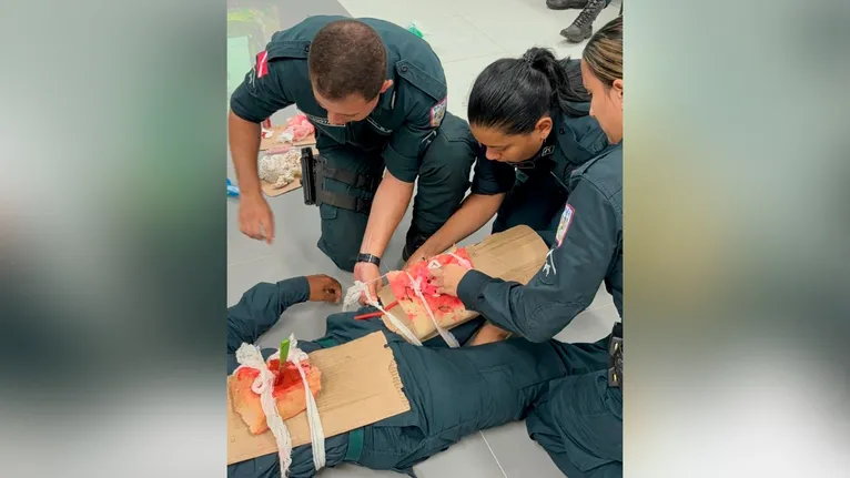 Embora os policiais recebam treinamento durante sua formação, é comum que se deparem com situações emergenciais que exigem conhecimentos específicos.