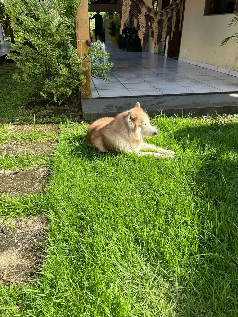 Lizzy pegando sol