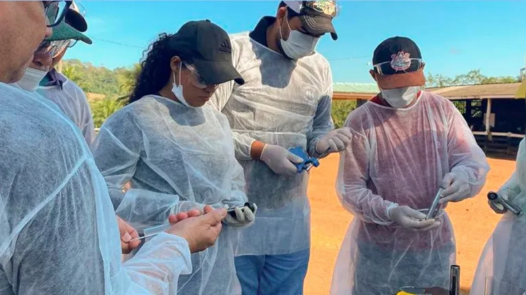 Produtores que já imunizaram as fêmeas bovinas e bubalinas na primeira etapa não precisam repetir a aplicação em dezembro.