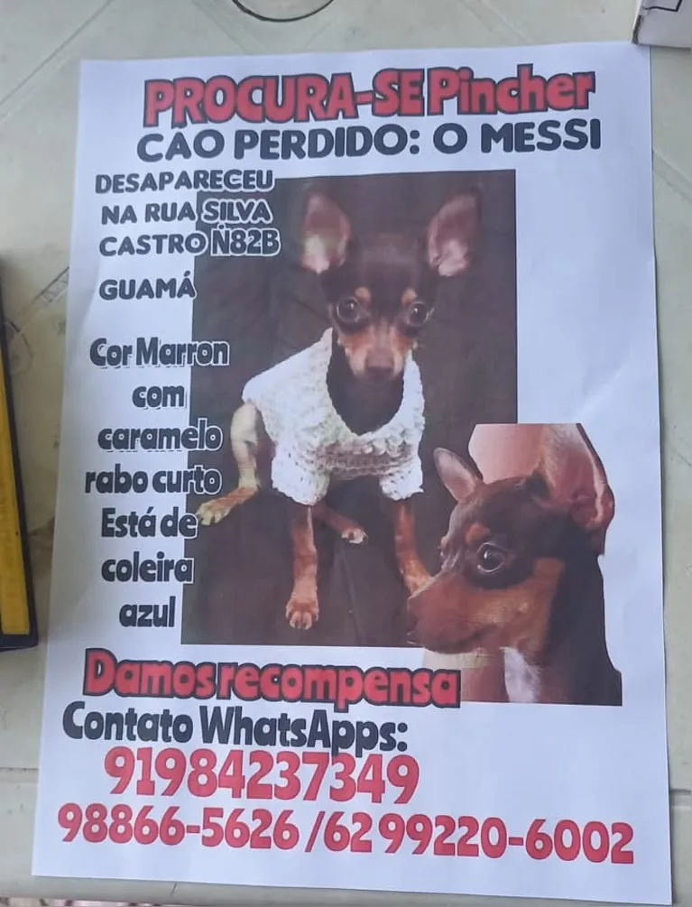 Família de Messi busca por cachorro desaparecido em Belém