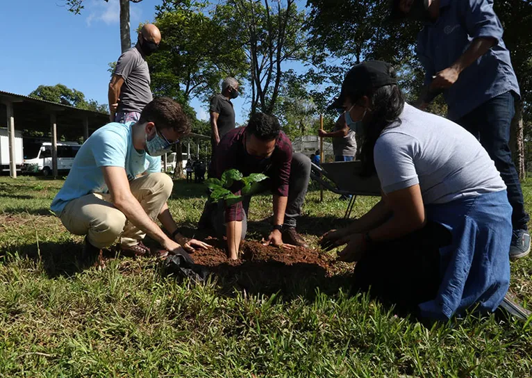 Alunos plantam no Bosque da Paz, em homenagem às vítimas da covid, na Ufra