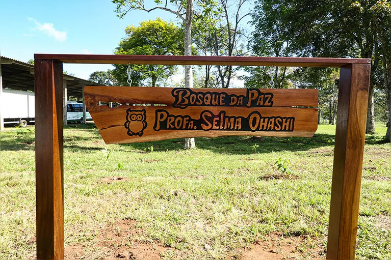 O bosque Professora Selma Ohashi, em homenagem às vítimas da Covid-19.