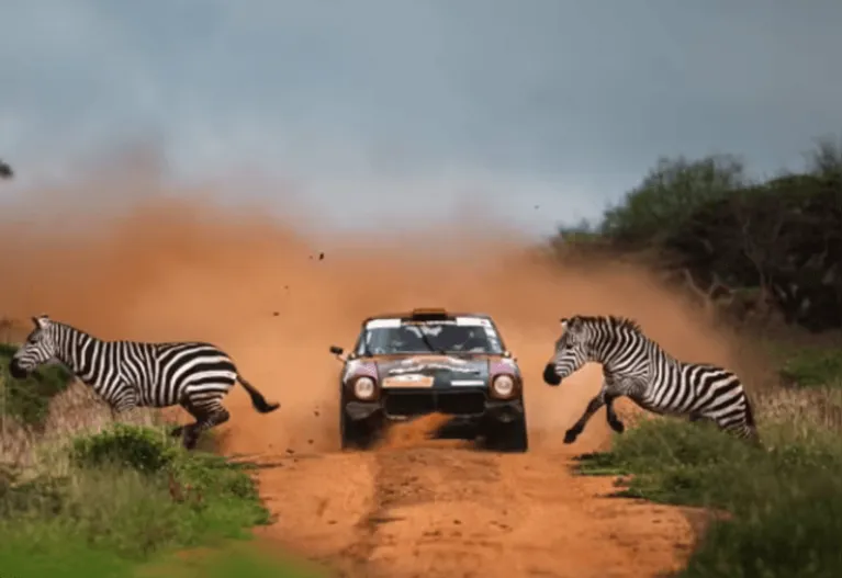 Zebra Crossing.