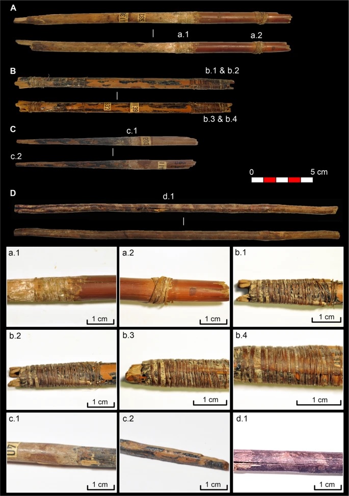 Pontas de flechas e hastes à base de plantas da Cueva de los Murciélagos. ( A ) CM-1138/532 (Ua-78245), junco e haste de flecha de madeira, ( a.1. ) Detalhe de fibras adesivas e amarradas brancas na junção entre o junco e a madeira, ( a.2. ) Detalhe de fibras amarradas na extremidade da haste da palheta, ( B ) CM-1139/532 (Beta-692876), haste da flecha de palheta, ( b.1–4. ) Entalhe da flecha, com penas, fibras amarradas e adesivo preto, ( C ) CM-1140 (Beta-692878), haste ou ponta de flecha, ( c.1. ) Detalhe do adesivo, ( c.2. ) Ponta da flecha com adesivo, ( D ) CM-1141 (Ua-78246 ), haste ou ponta de flecha, ( d.1. ) Marcas espirais.