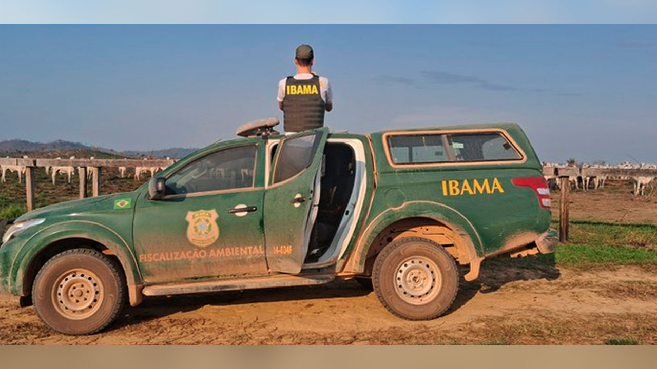 Foram realizados 154 autos de infração, totalizando R$ 364,5 milhões em multas e apreendidas 8.854 cabeças de gado produzidas nas áreas embargadas