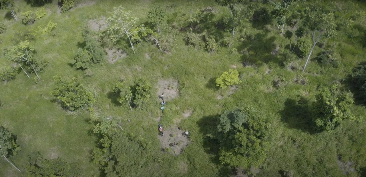 Hidrelétrica restaura 2,4 mil hectares de floresta amazônica, o que equivale a 3 mil campos de futebol iguais ao do Maracanã.