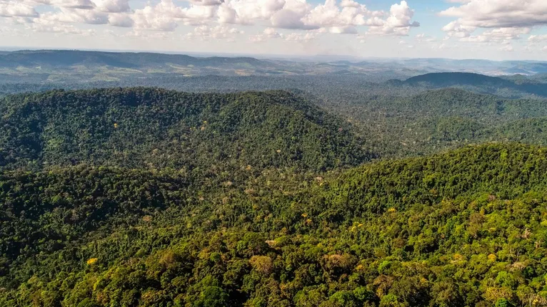 Floresta Nacional de Carajás, em Parauapebas, um dos focos de preservação da Vale no Pará