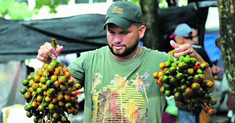 Feira itinerante traz alimento fresquinho e preço acessível 