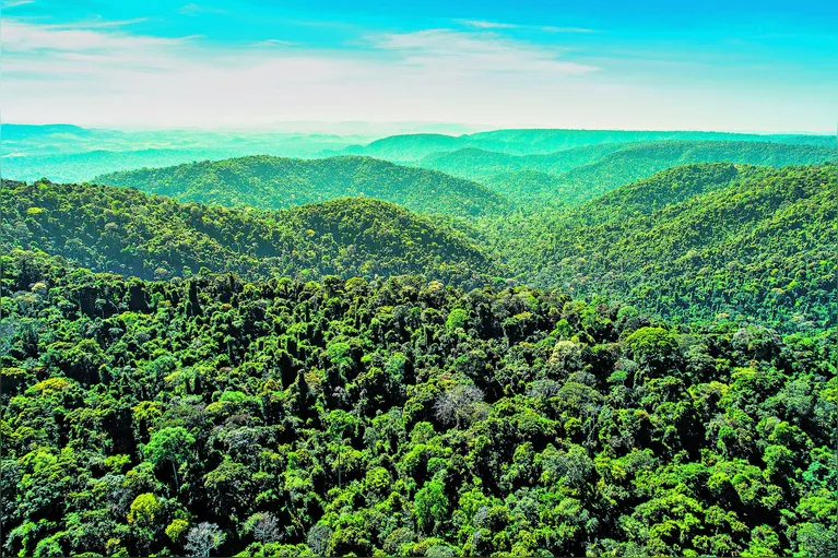 Floresta Nacional do Carajás