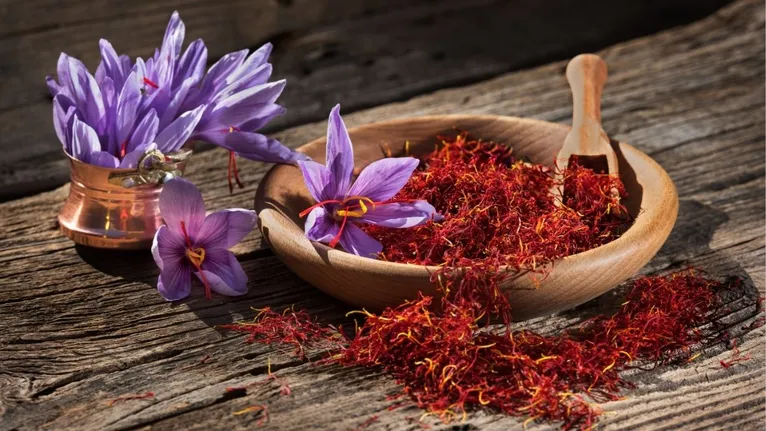 Extraído dos delicados estigmas da flor Crocus sativus, cada fio de açafrão precisa ser colhido manualmente, um processo que exige habilidade e paciência.