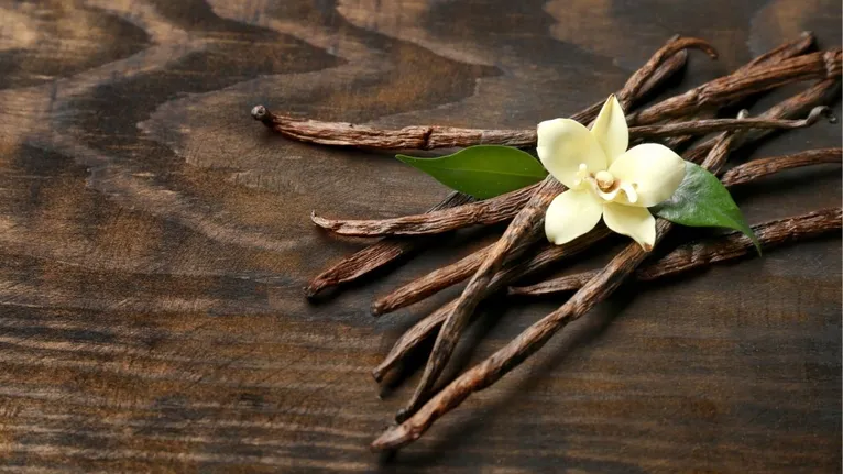 Extraída das orquídeas do gênero Vanilla, seu cultivo é extremamente trabalhoso, pois a polinização precisa ser feita manualmente.