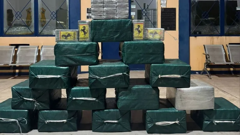 Ao todo, foram encontrado 470 tabletes de cocaína.