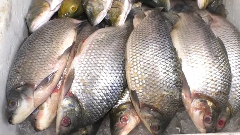 O período da Semana Santa é caracterizado pela alta dos preços do pescado.