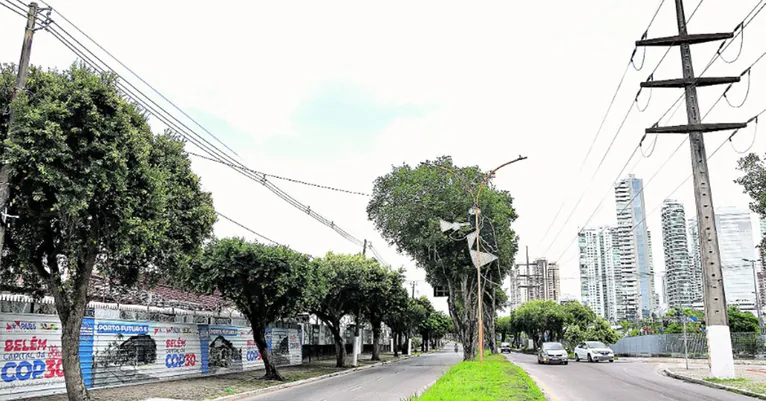 Um retrato vívido do processo de formação da cidade