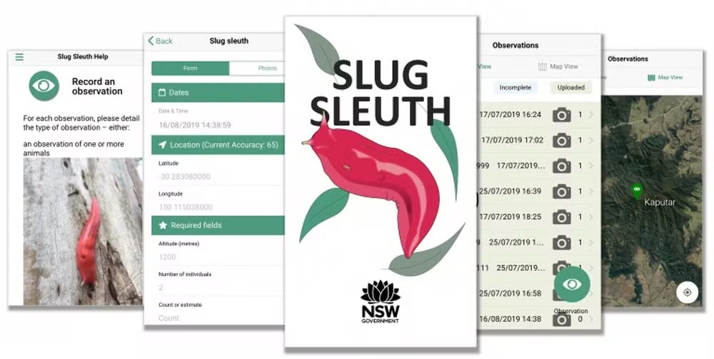 Interfaces do aplicativo Slug Sleuth