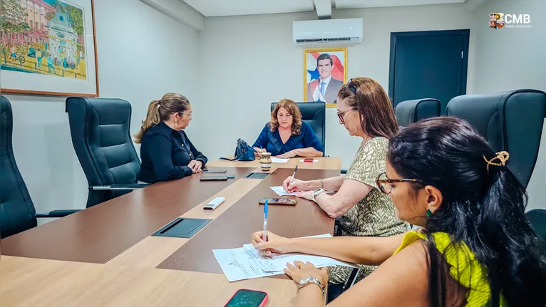 A reunião da comissão teve a participação da vice-presidente da Comissão, Vereadora Marinor Brito (PSOL), a membro, Vereadora Raquel dos Animais (PDT), a Diretora Legislativa da Casa, Ellen Farache e sua assistente Yully Guimarães.