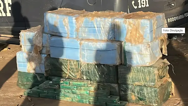 O suspeito dirigia um caminhão carregado com aproximadamente 496 kg de drogas
