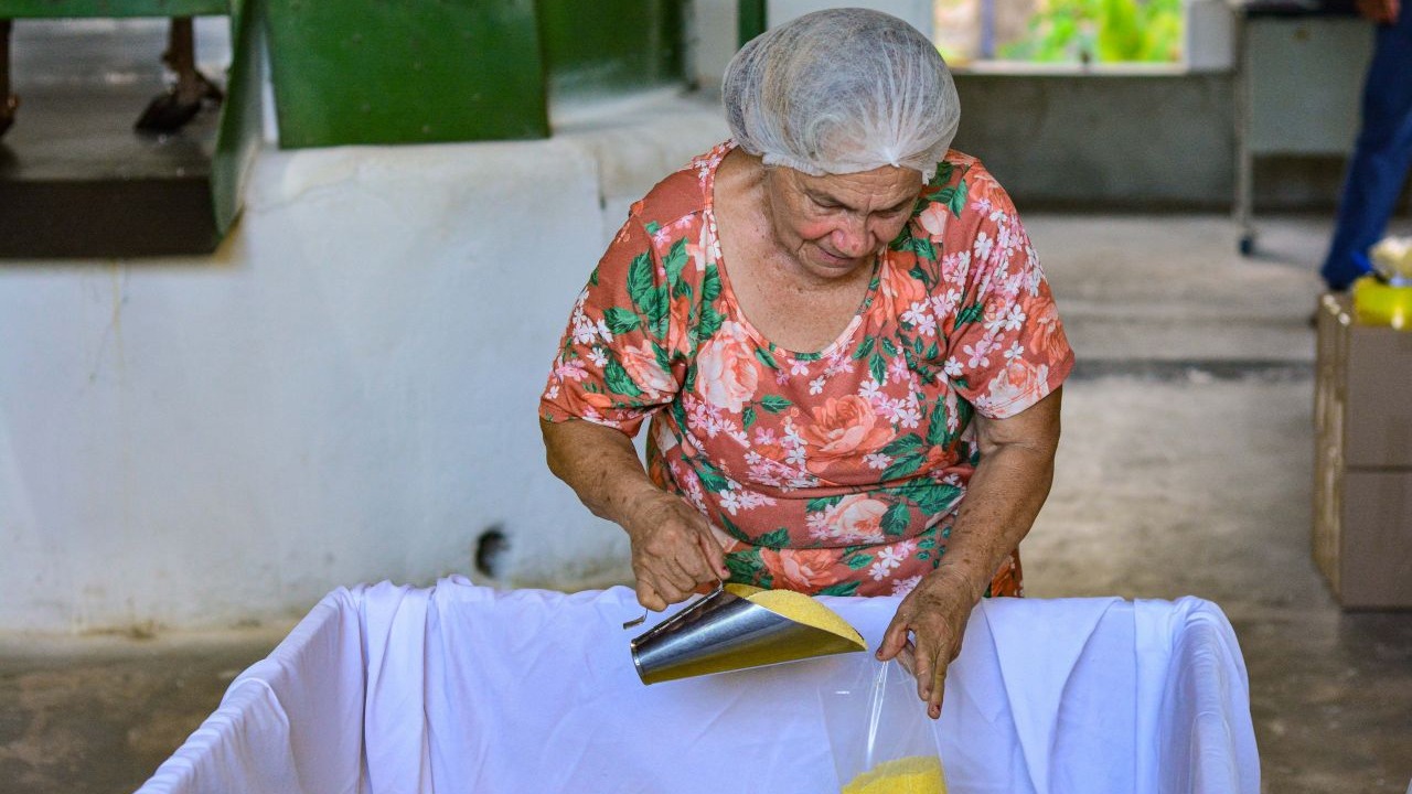 Entre as 192 agroindústrias, quinze unidades se dedicam exclusivamente à produção de farinha de mandioca.