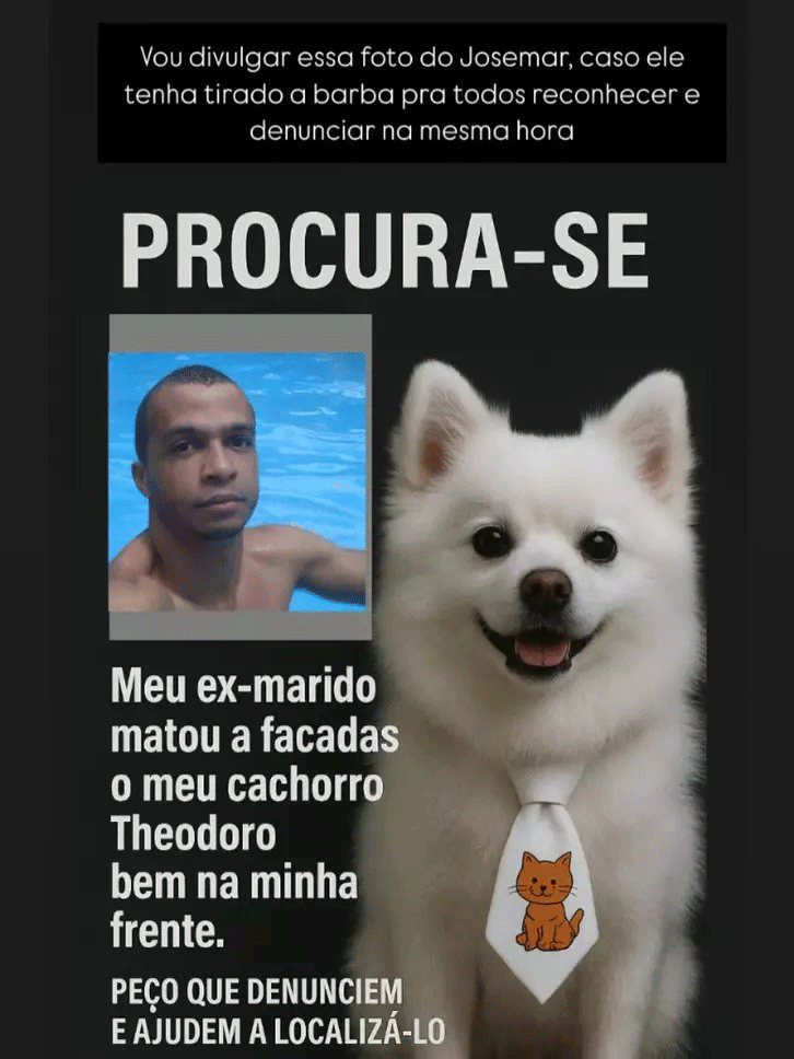 Jovem acusa ex-companheiro de matar cachorro a facadas em Porto Ferreira.