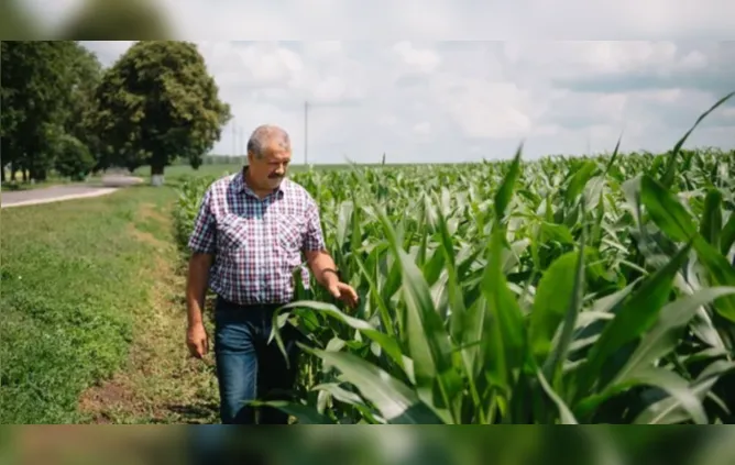 O Brasil tem potencial para ser mais rico e mais verde
