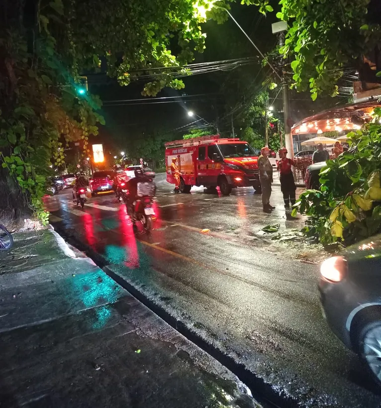 Bombeiros estiveram no local para remoção da árvore