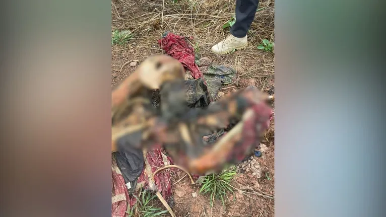 Após análises, foi constatado que o corpo apresentava sinais de violência.
