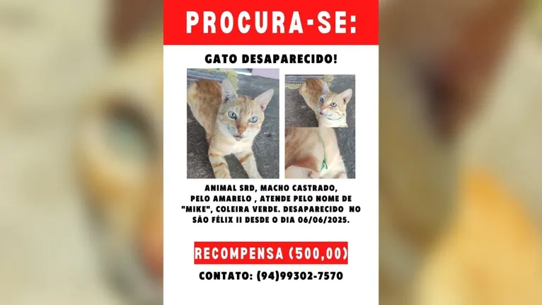 Mike desapareceu no bairo São Félix II na última sexta-feira (6).