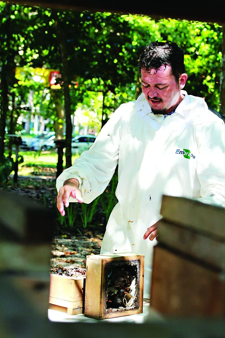 Engenheiro agrônomo e pesquisador da Embrapa, Daniel Santiago